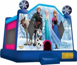 Frozen Bouncer