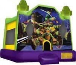 Ninja Turtle Bouncer