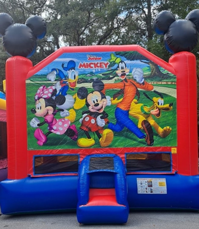 Mickey Mouse Bouncer 15x15